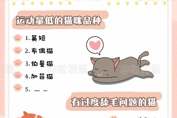 小狗名字与性格匹配的完美指南