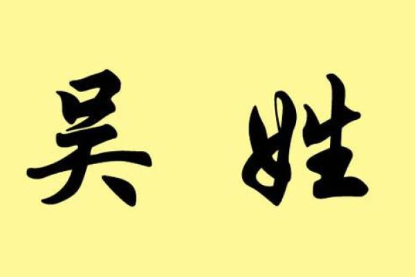 用吴字取名字的文化背景与推荐字义解析
