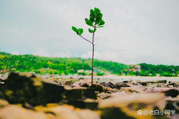 梦到自己迷路了 应该如何面对生活中的不确定性