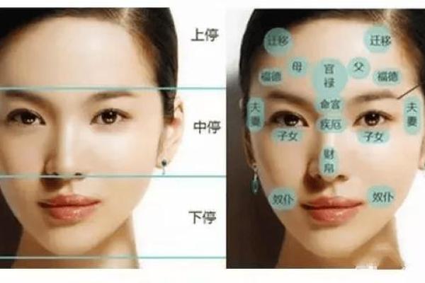 面相学中的眉毛特征与运势的神秘联系