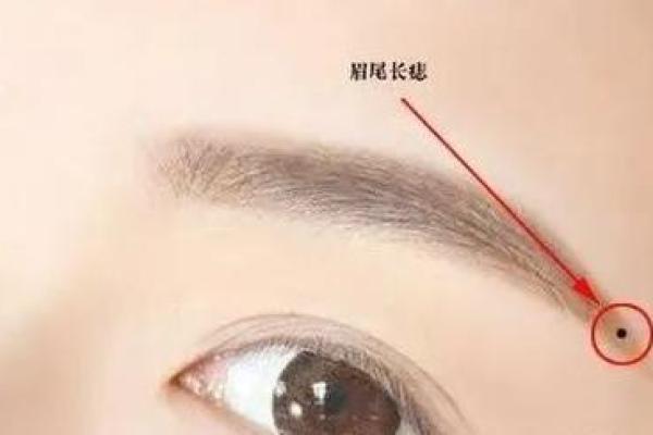 面相学中的眉毛特征与运势的神秘联系