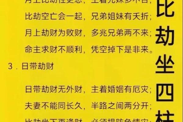 掌握生辰八字，免费查询个人命运信息