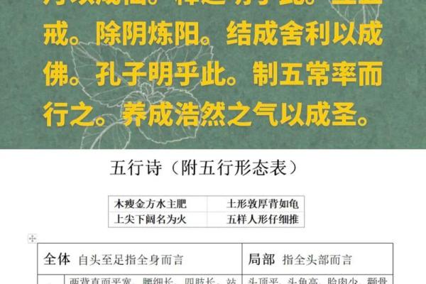 天支地支的奥秘与传统文化的深刻联系解析