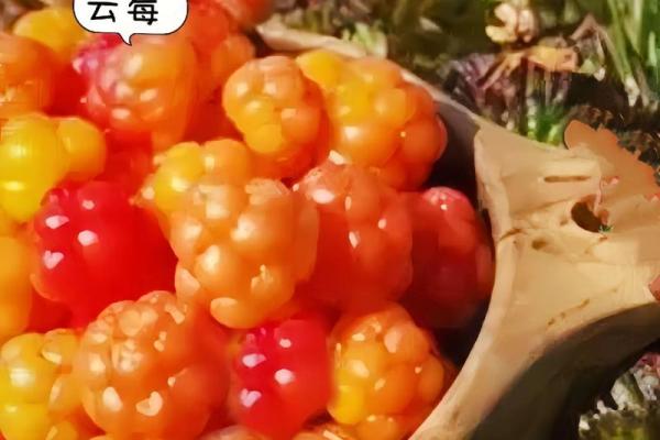 这些搞笑名字让人捧腹，快来看看你能选出最奇葩的