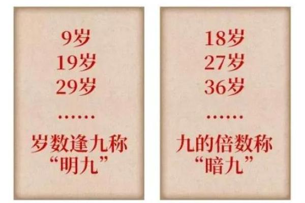 悬胆鼻女面相解析：揭示性格与命运的深层联系