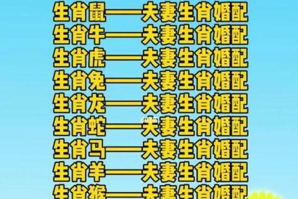 生辰八字与属相婚配关系揭示婚姻秘诀