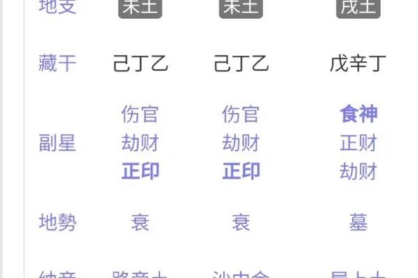 未与地支在八字中的象征意义
