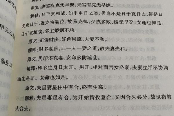 生肖命理对人生的影响与解析