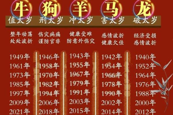 生肖命理对人生的影响与解析