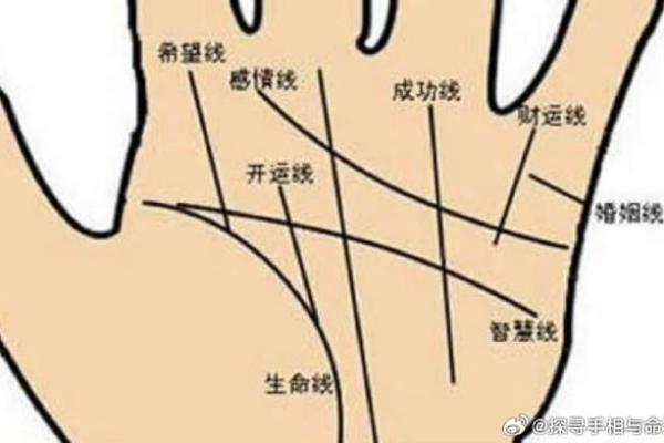 掌握看手相的免费方法，预测未来一手掌握