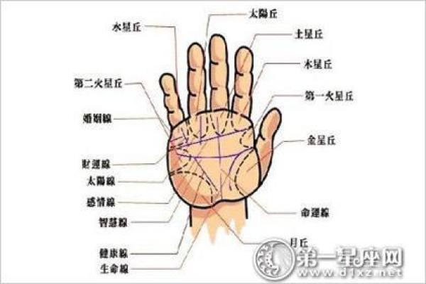 掌握看手相的免费方法，预测未来一手掌握