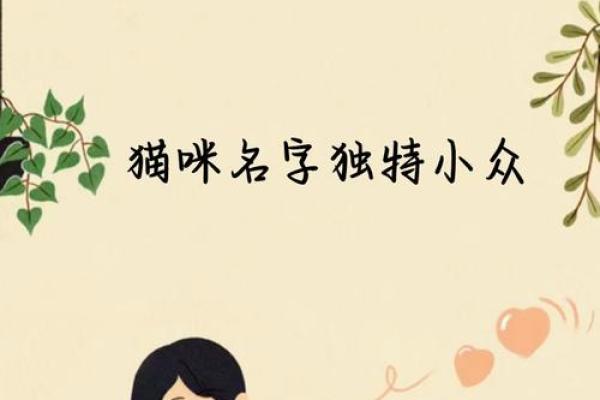 小猫名字的由来与命名背后的故事