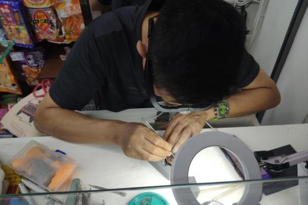 探索有文化的名字：传统与现代的完美结合