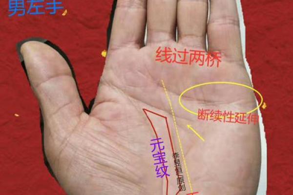 手相的变动与命运的关系：是变化还是固定？