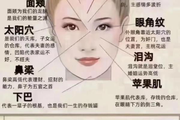 女人鼻子面相解析：如何通过鼻形看性格与命运