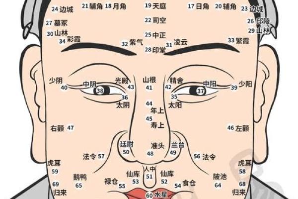 女人鼻子面相解析：如何通过鼻形看性格与命运