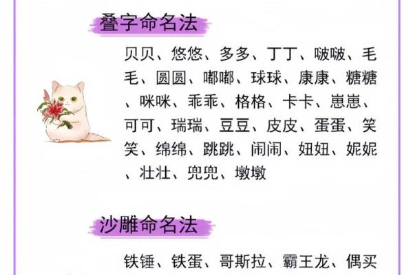 如何为你的宠物取一个既好听又有意义的名字