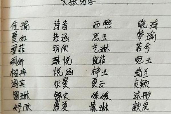 胡姓男孩名字的起名原则与创意选择