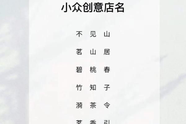 胡姓男孩名字的起名原则与创意选择