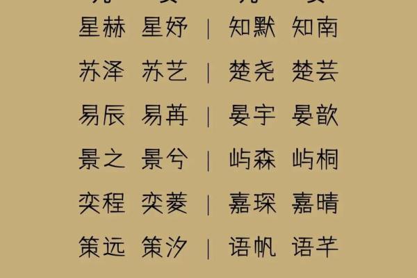 双胞胎宝宝起名精选：打造独特又有意义的名字