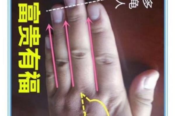 从手相看未来：信还是不信？