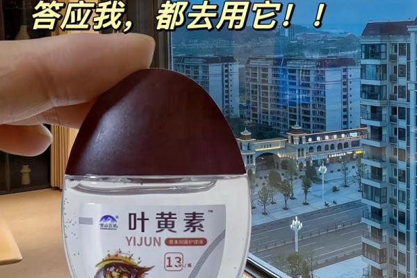 灵机文化官网：为品牌注入活力与创意的数字化平台