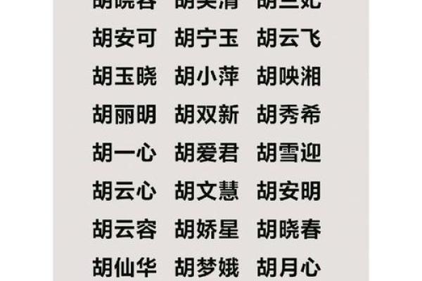 胡姓起名的技巧与注意事项