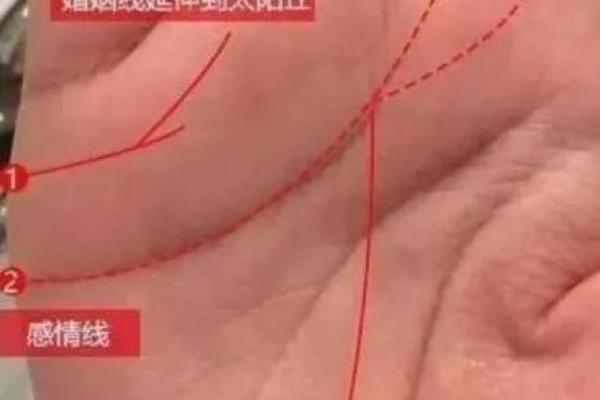 如何通过左手手相预测爱情与事业走向