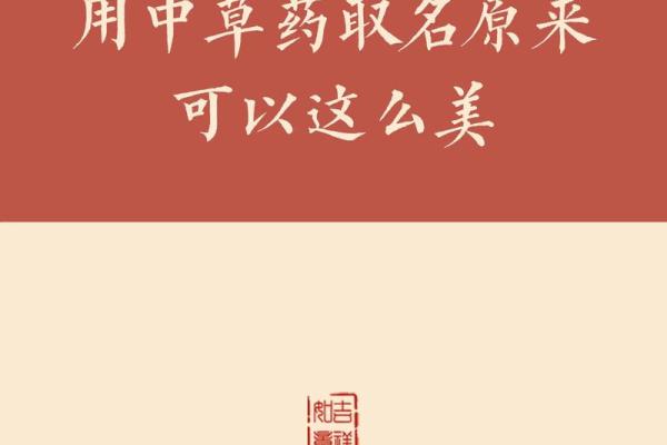中药材公司起名的关键要素与实例分享
