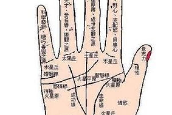 透过女性手相，了解你的人生轨迹