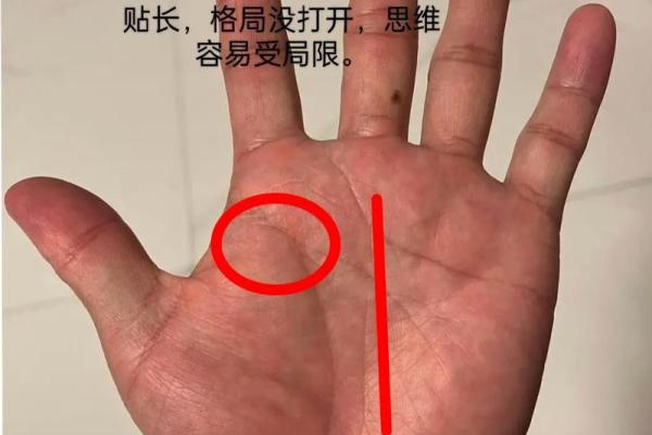 学会手相学，免费分析你的人生轨迹