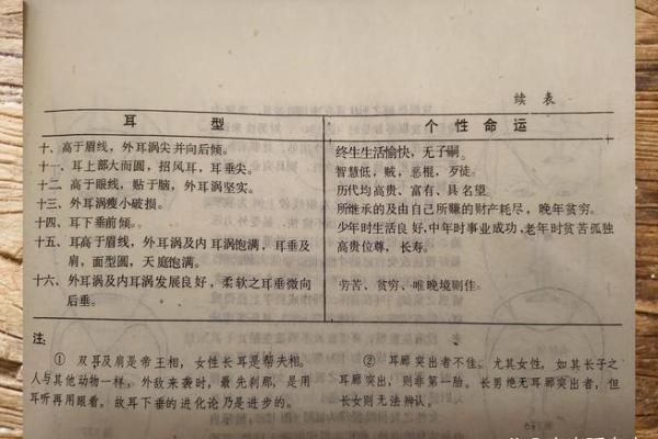 生辰八字免费测试：洞悉人生运势与性格特点