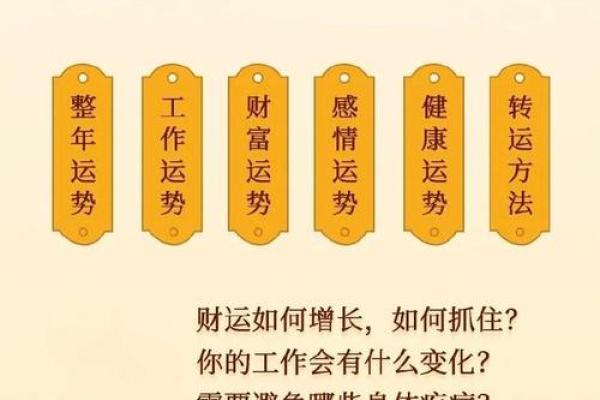 解读面相，免费算命助你洞察人生