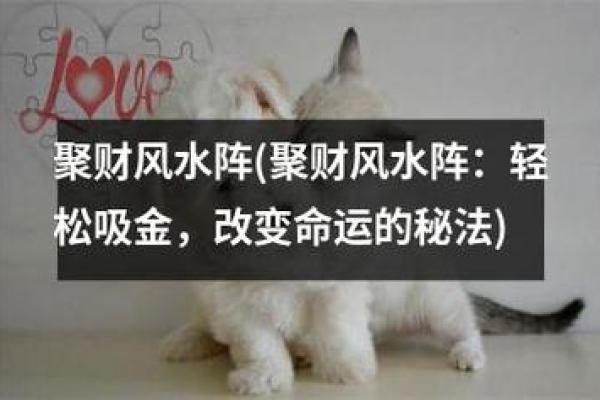 家居风水实战案例：轻松改变生活环境中的气场