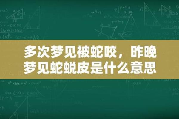 梦到很多蛇的寓意与解析