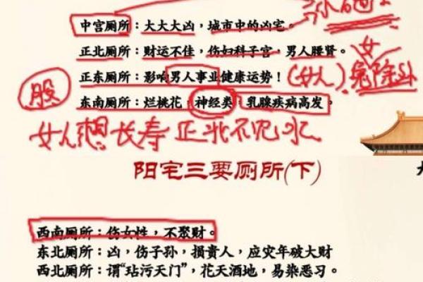 生辰八字与姓名学的完美结合