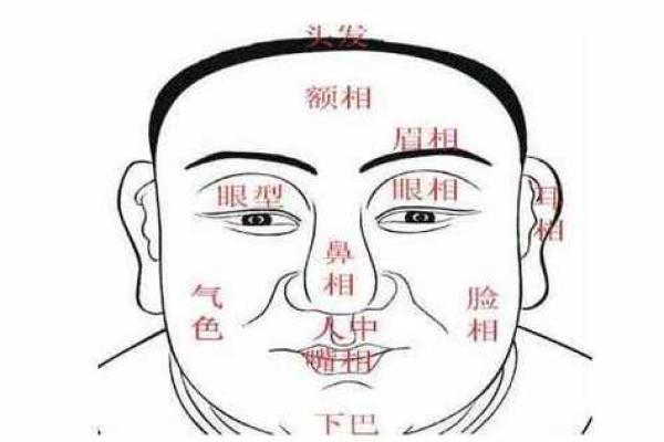 男人面相解析：如何从面部特征看性格与命运