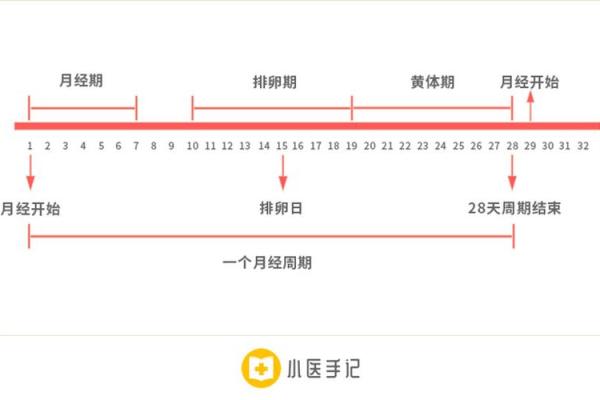 探索命理在孕育中的影响：如何提升怀孕机率