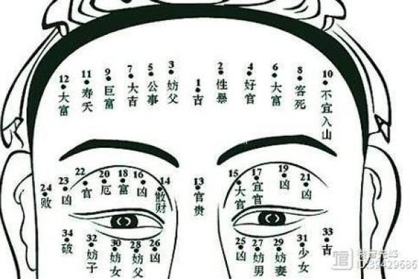 侧脸上的痣有何寓意？通过面相揭示人生秘密