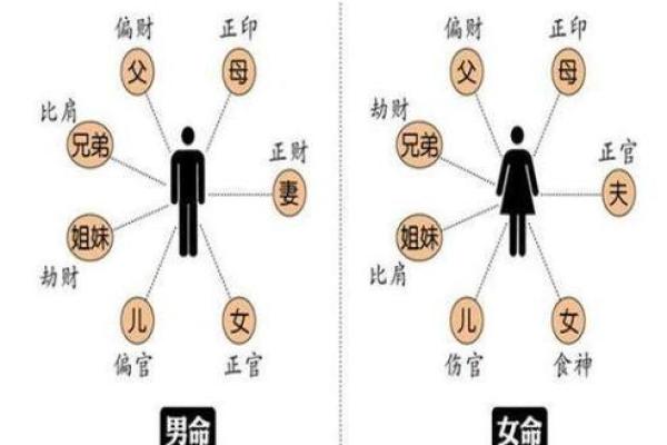 八字合婚免费测算，让你更了解两人缘分