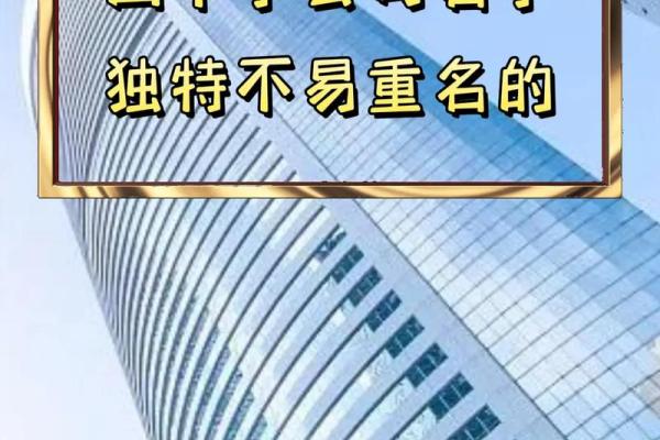 如何为新公司选择一个独特且有吸引力的名字