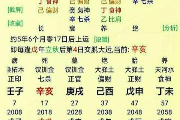 酉金在地支中的象征意义与运势解析