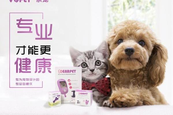 给你的爱犬起名字的五个实用建议