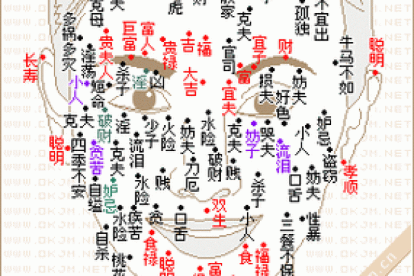 专家讲解痣相斑的不同类型与特点
