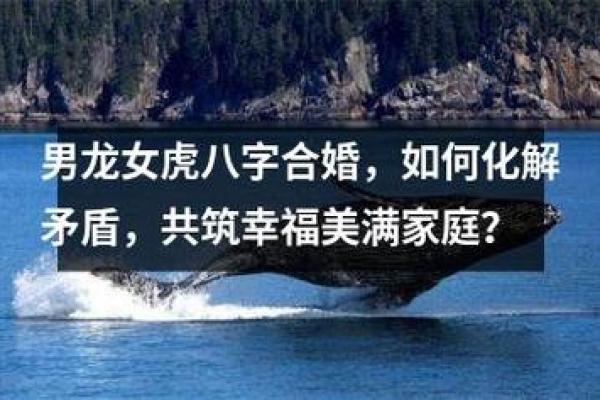 探索婚姻八字合婚免费分析，助力幸福婚姻生活