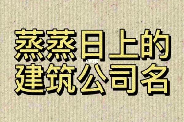 起名策略：如何根据行业特点为公司命名