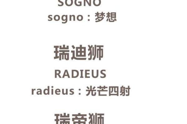 起名策略：如何根据行业特点为公司命名