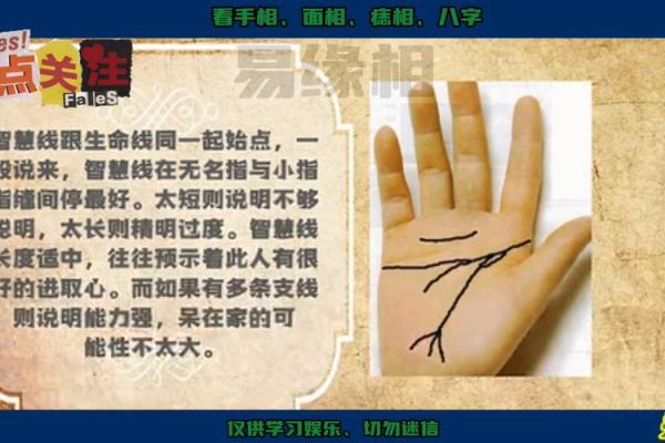 离婚手相揭秘：掌中隐藏的婚姻危机迹象