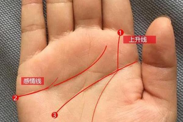 离婚手相揭秘：掌中隐藏的婚姻危机迹象