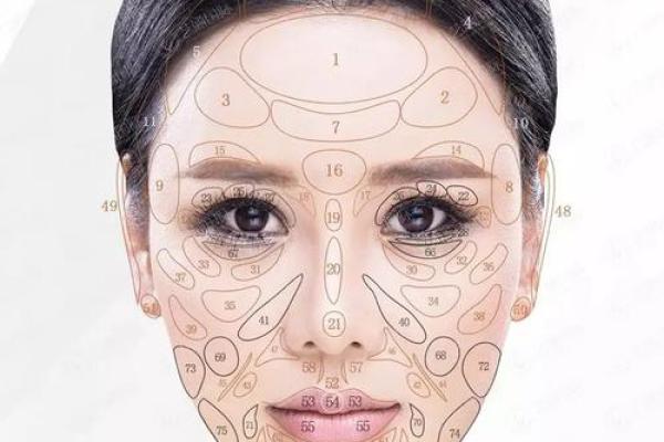 探索面部风水：从五官看你的人生运势